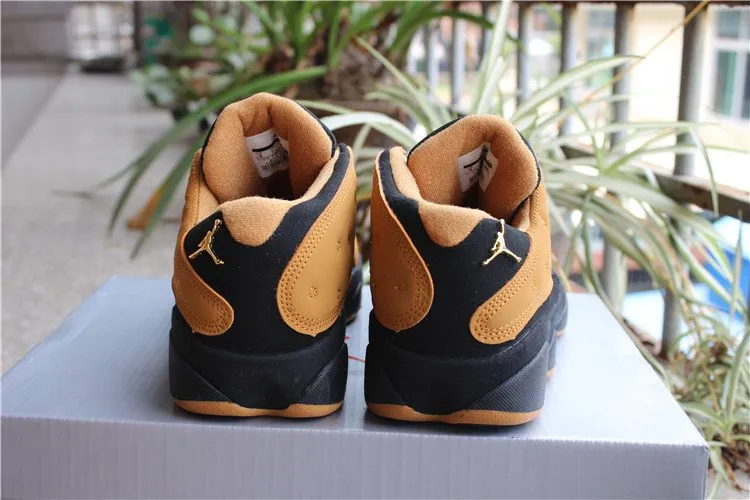 Air Jordan 13