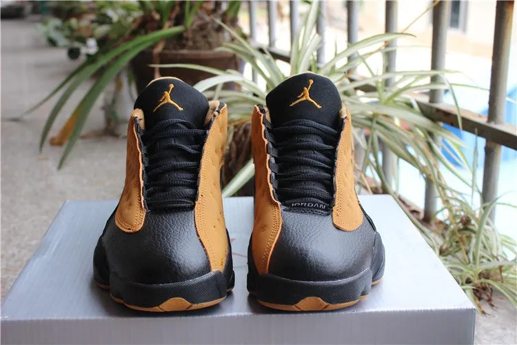 Air Jordan 13