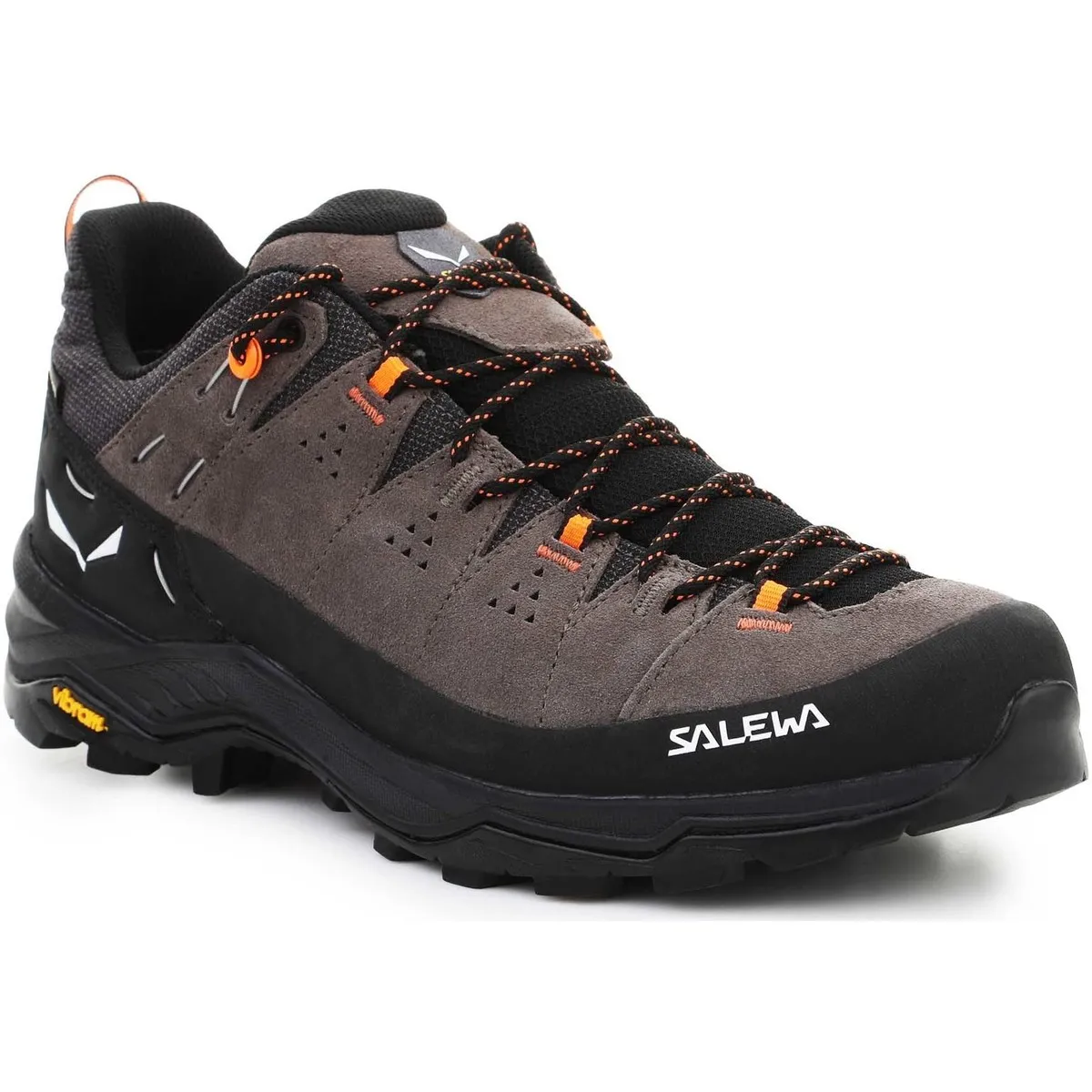 ALP TRAINER 2 GORETEX® MEN'S SHOE 614007953