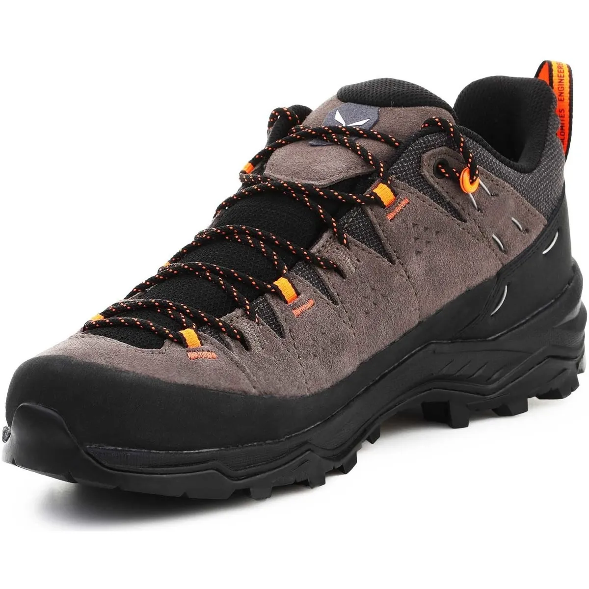 ALP TRAINER 2 GORETEX® MEN'S SHOE 614007953