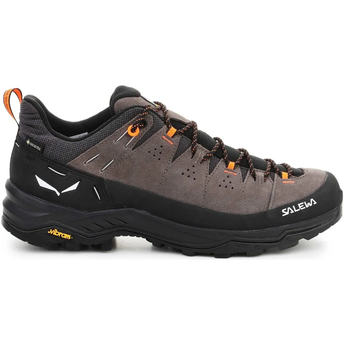 ALP TRAINER 2 GORETEX® MEN'S SHOE 614007953