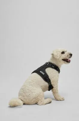 Arnés acolchado para perros