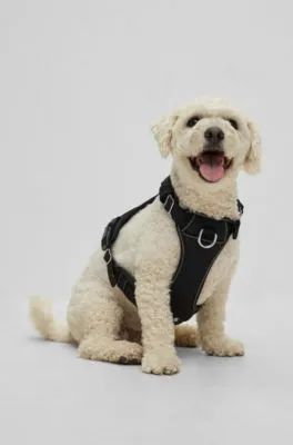 Arnés acolchado para perros