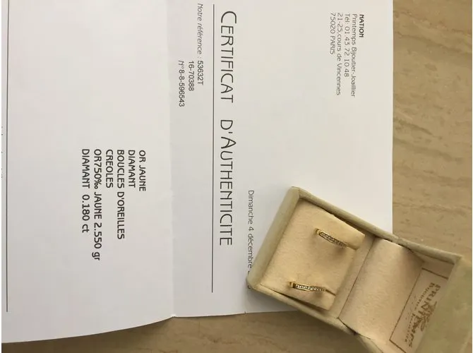 Autre Marque Criollos Dorado 