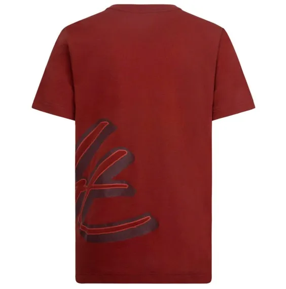 Camiseta Junior Jordan Mesh Flight Graphic Red