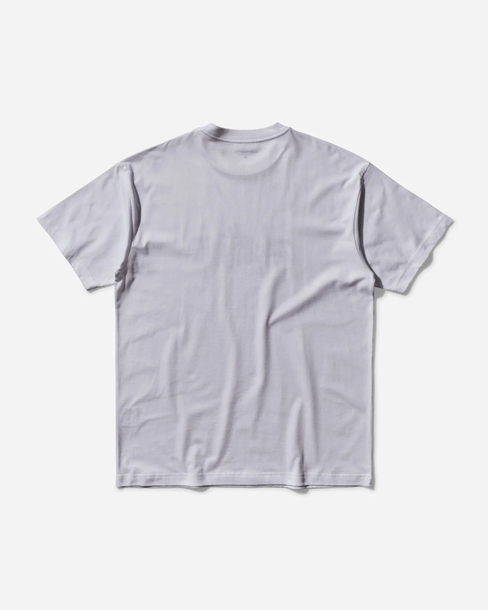 CARHARTT WIP BRUSH WIP TSHIRT WHITE