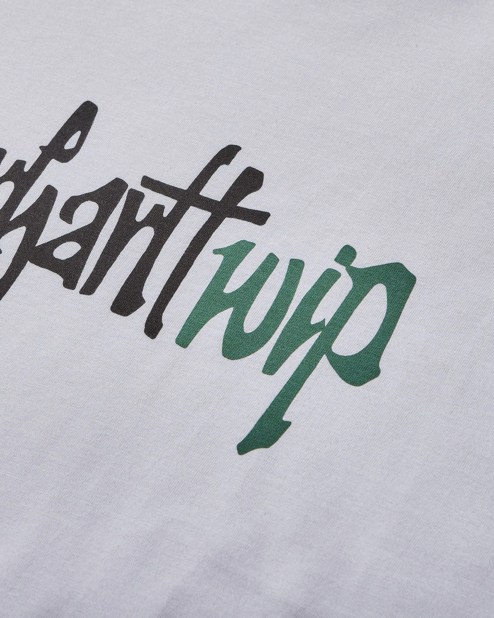 CARHARTT WIP BRUSH WIP TSHIRT WHITE