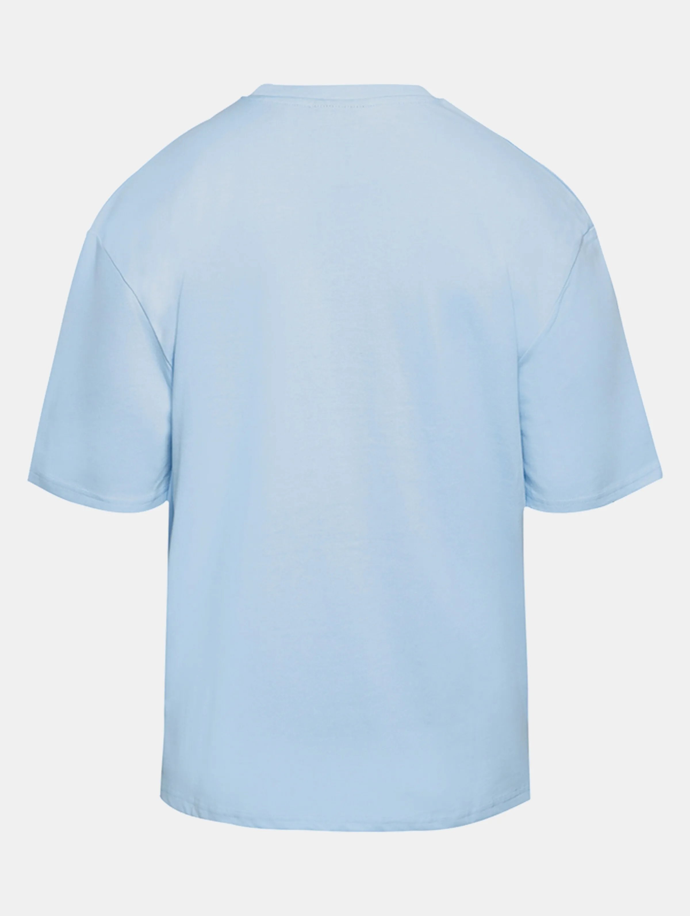 DROPSIZE HEAVY OVERSIZE CURVED HD LOGO TSHIRTS