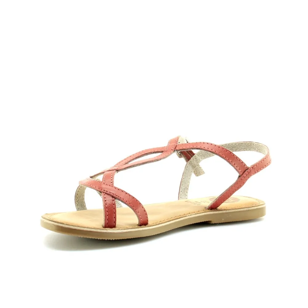 Gioseppo Rondelia Coral
