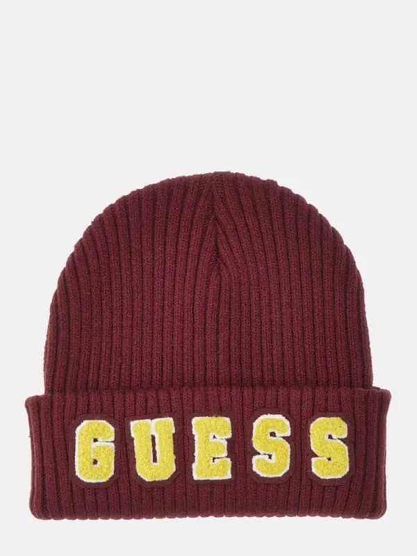 GUESS Vezzola College Logo