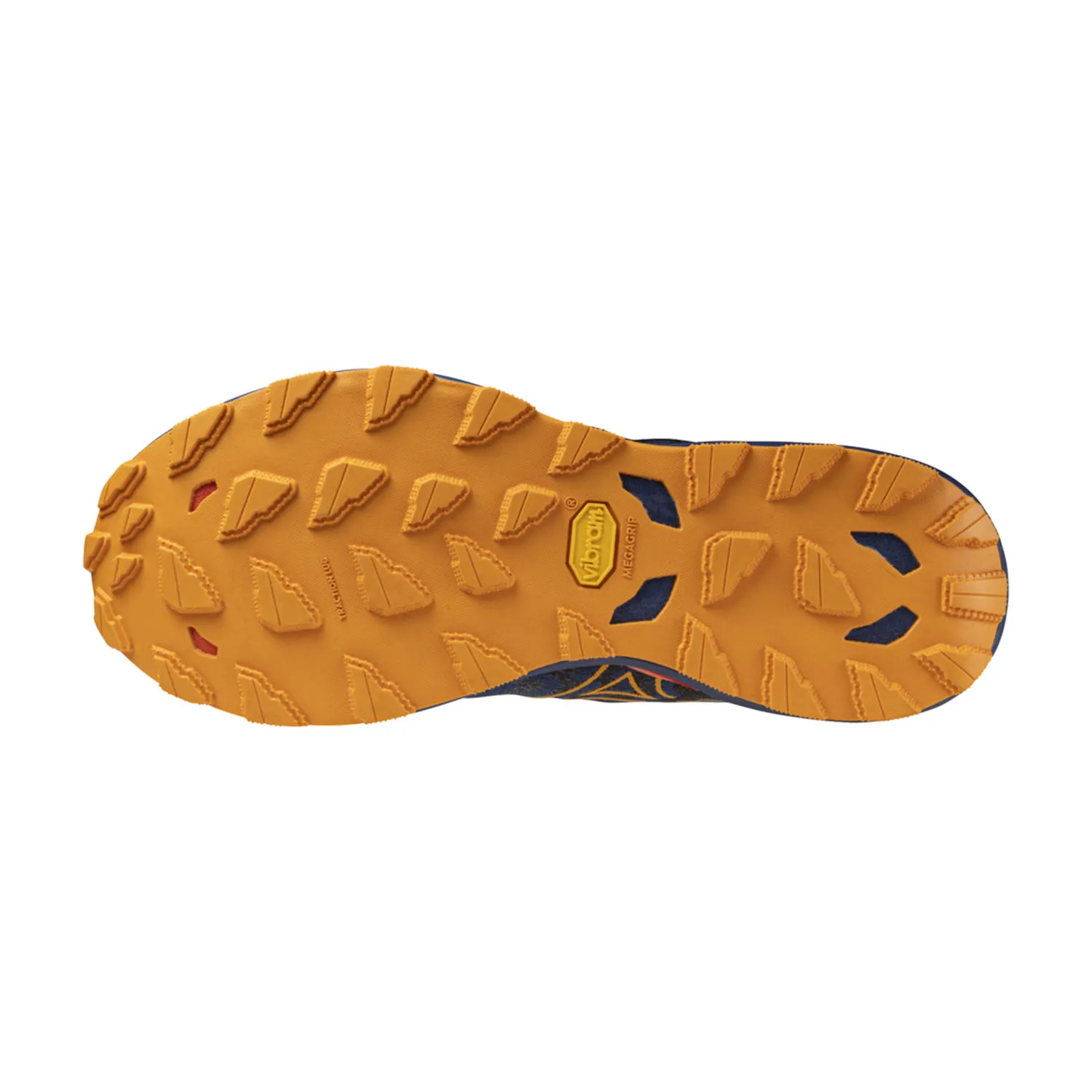 Mizuno Wave Daichi 8