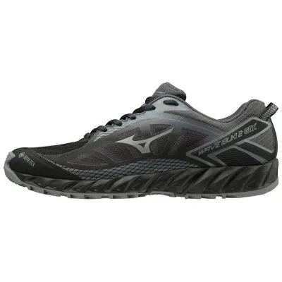 Mizuno Wave Ibuki 2 Goretex