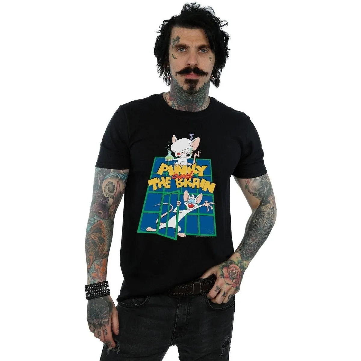 Pinky And The Brain Laboratory