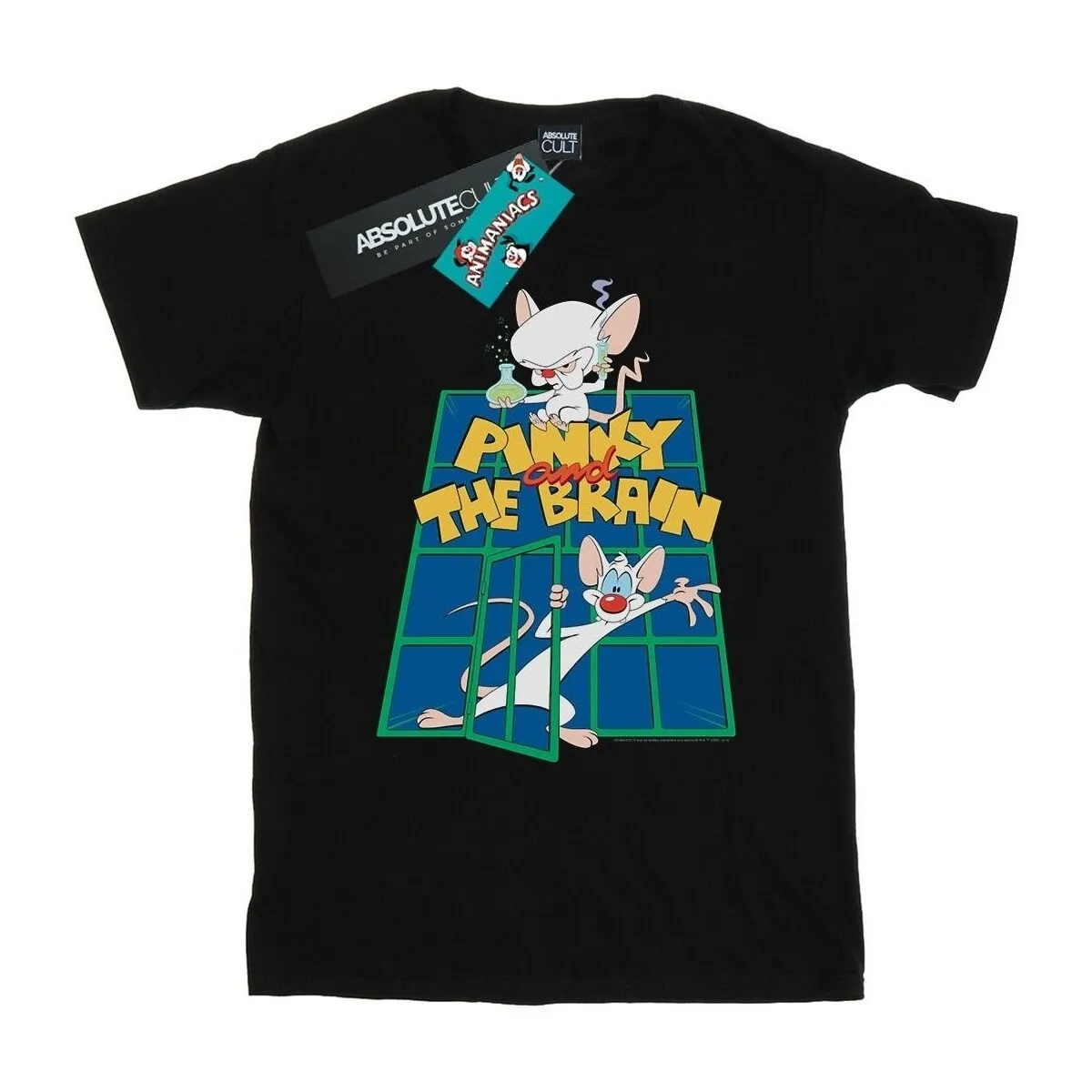 Pinky And The Brain Laboratory