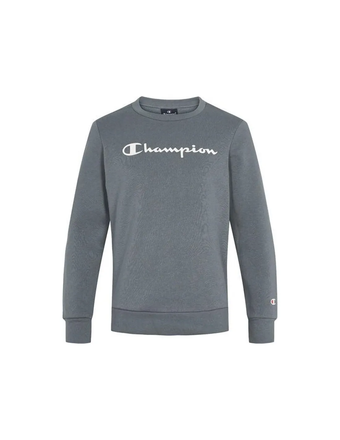 Sudadera Champion Crewneck Infantil Verde