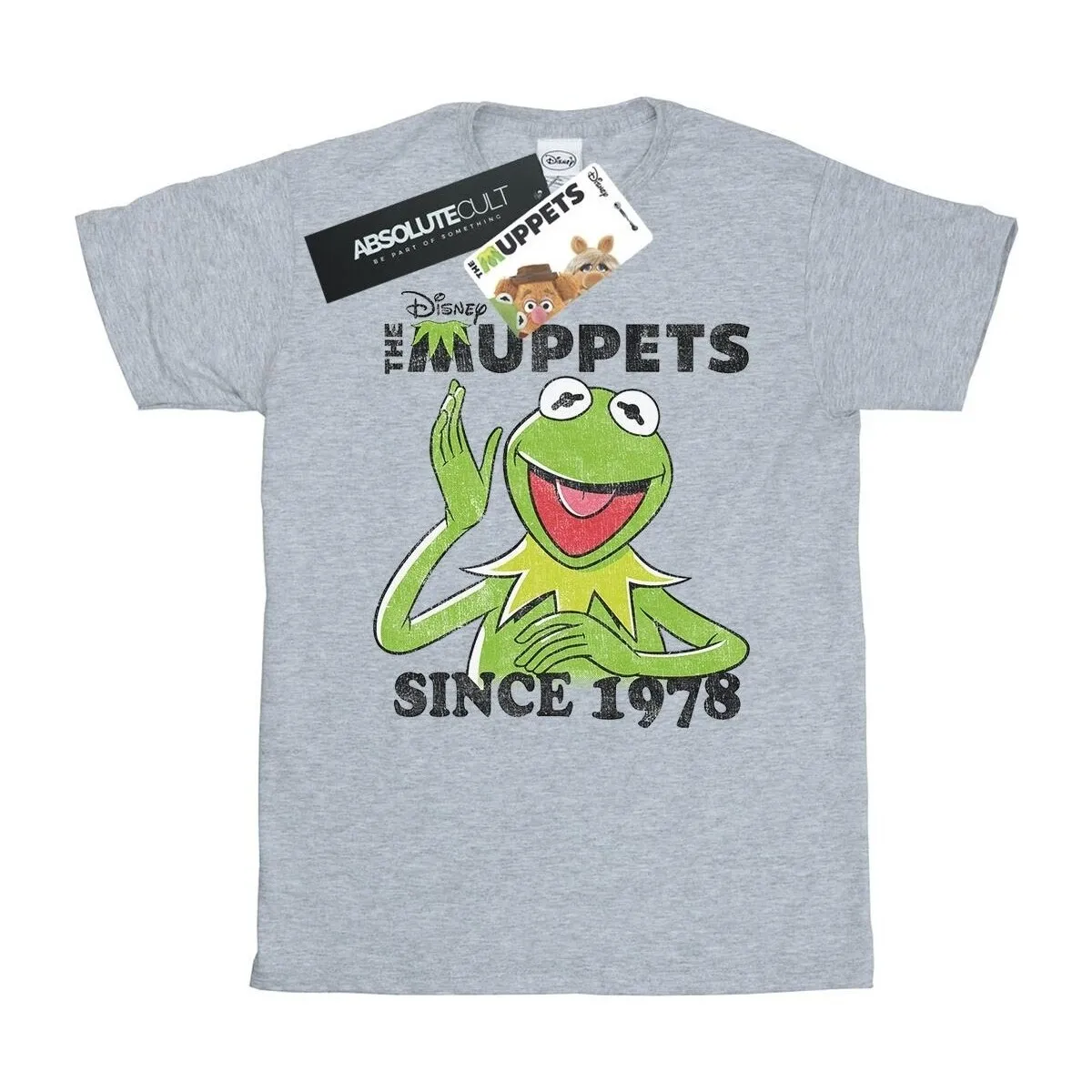 The Muppets Kermit Since 1978