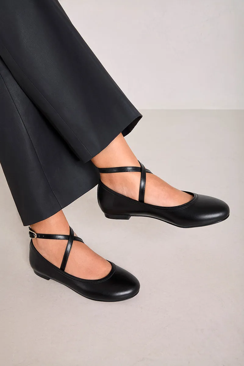 TOTAL BLACK  HOLLY