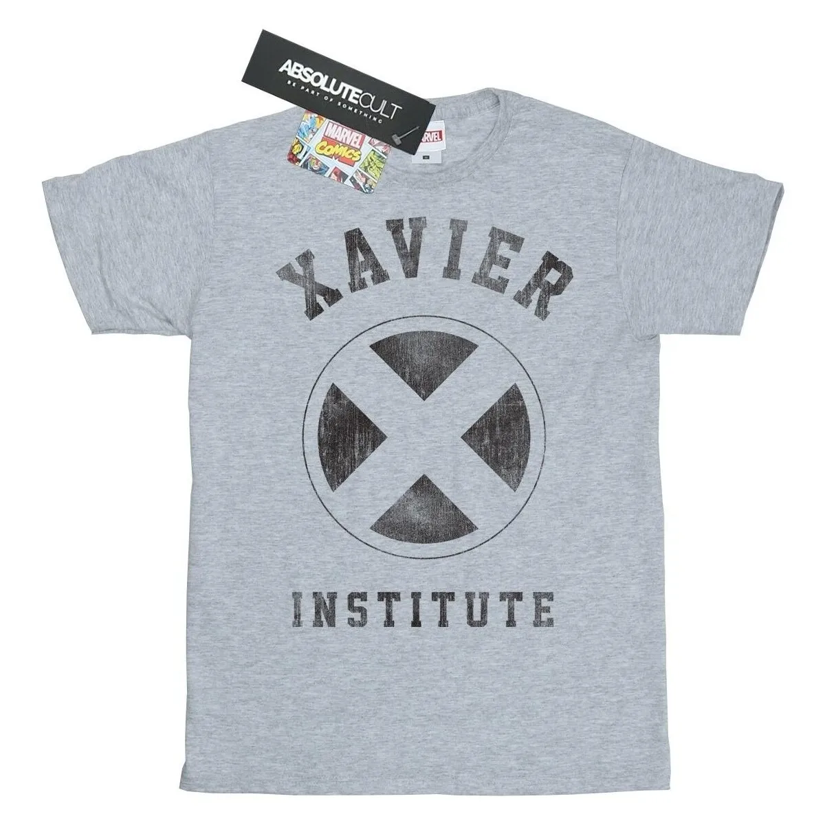 XMEN XAVIER INSTITUTE